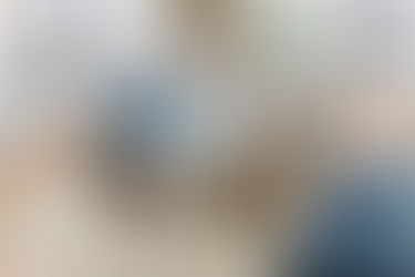 Introducing: Lazy Government