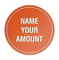 name-your-amount-donation.png