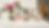 opi.webp