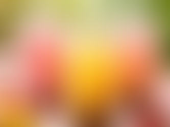 Printemps à Lyon : le retour du fruit tea chez Ô Bubble Tea