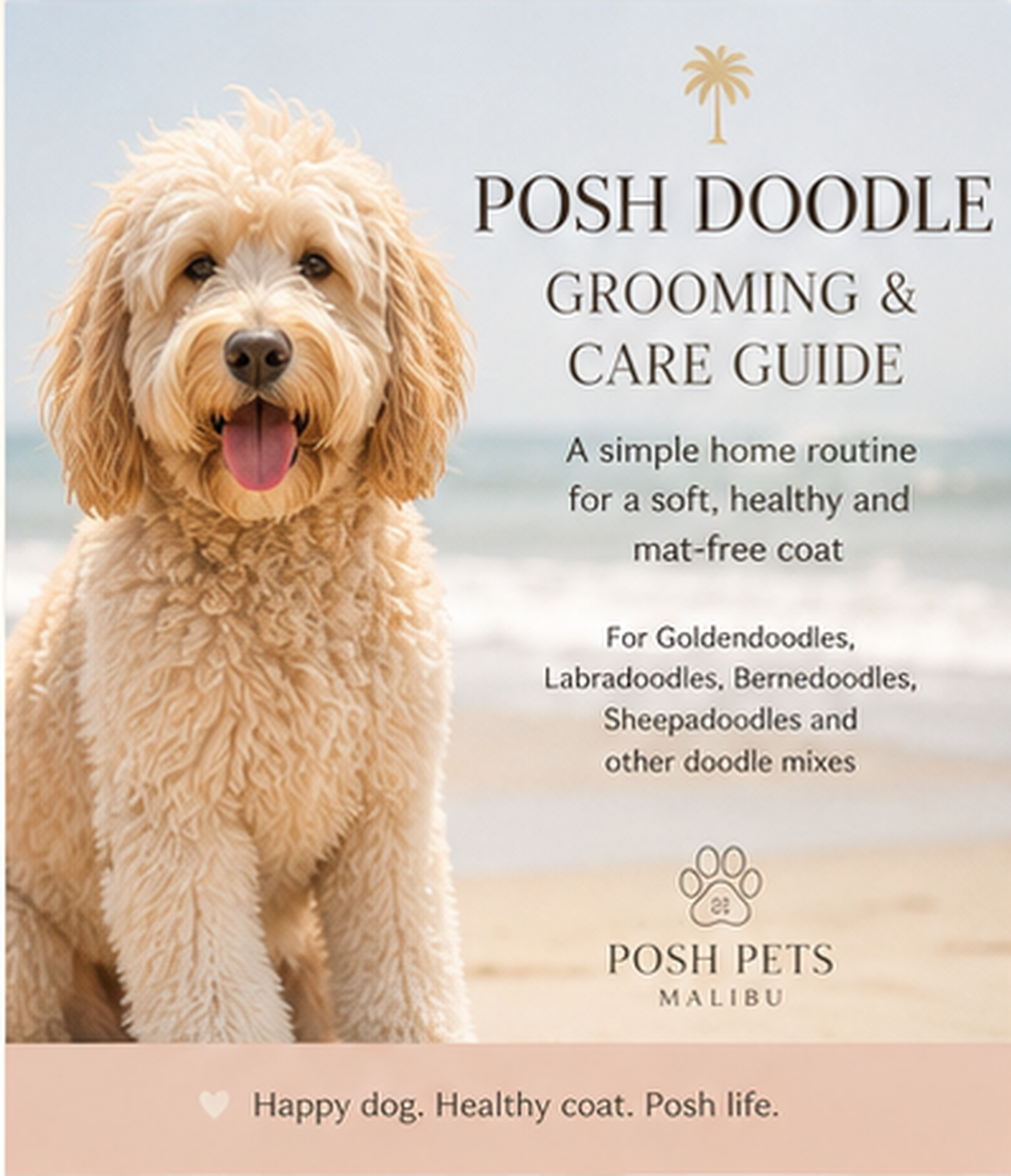 Posh Doodle Grooming & Care Guide