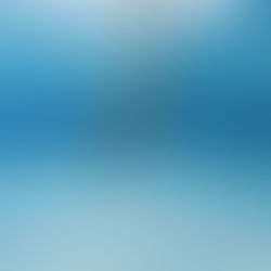 Copy of ALIQUAM LOREM ANTE