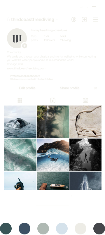 weeknight studio social media design freediving