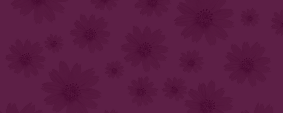 Untitled (3000 × 800 px) (1).png