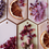 Thumbnail: Botanical Aroma Freshener