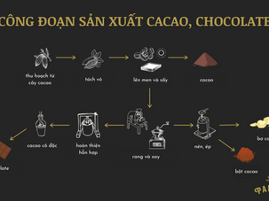 Thương hiệu cacao Việt: Hành trình từ hạt giống du nhập đến "thỏi chocolate ngon nhất thế giới"
