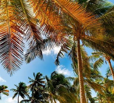panneau solaire saint martin sxm