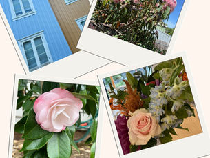 5 Places I Take Inspiration From (Besides Pinterest)