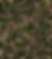 Peach floral and green leaf pattern on a black background