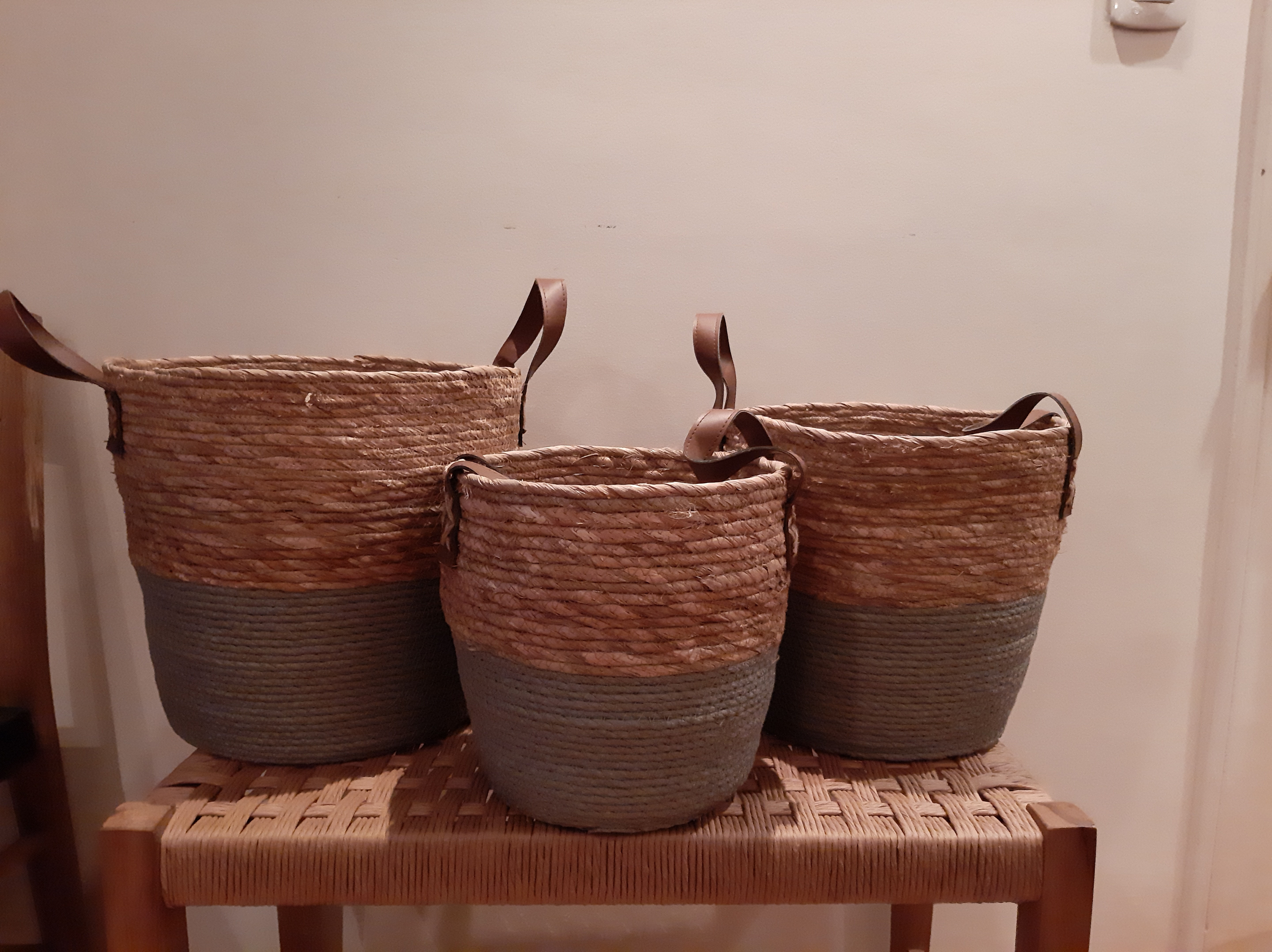 Canastos del litoral #4