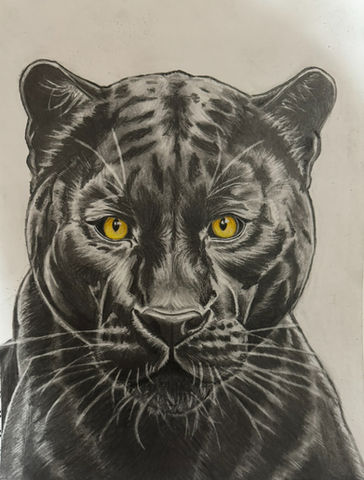 Custom Graphite Pencil Black Panther Drawing