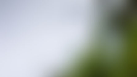 Sekali Diselamat Sentiasa Diselamat?