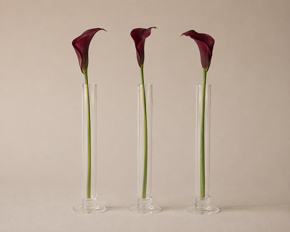 image00002.jpg