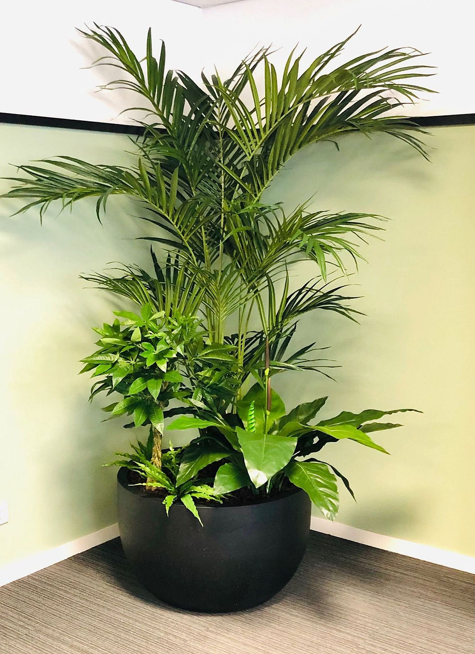 picture-1600 (6).jpg