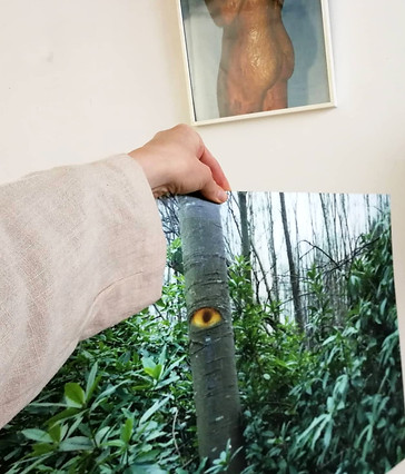 auga%25C3%25B0(lenticular)_edited_edited