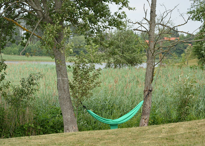 DSC_0155.JPG