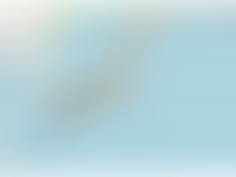 円安記念~外国人宿泊者数の変動~