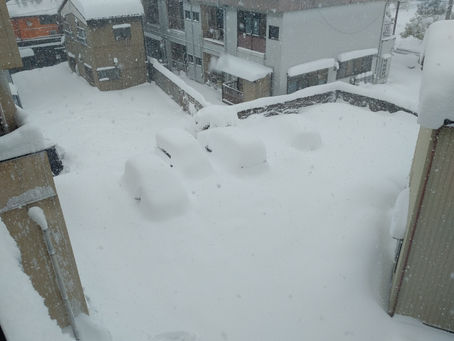 雪はどんだけ積もったの?