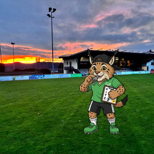 Anmeldung zum KiTZ KinderTrainerZertifikat ⚽️