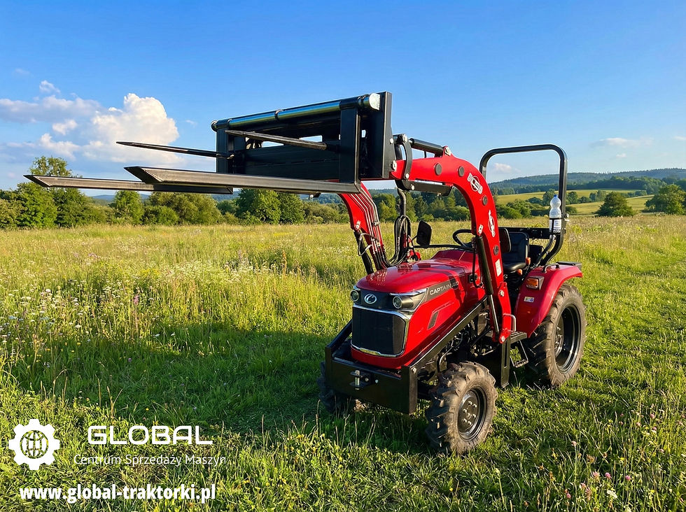 Widły combo paletowe i do bel