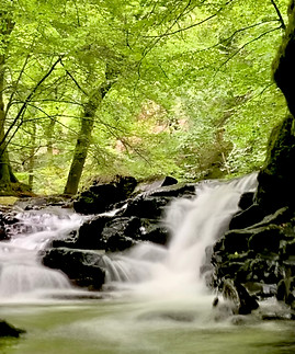 photo 29-08-2022, 10 34 44.jpg