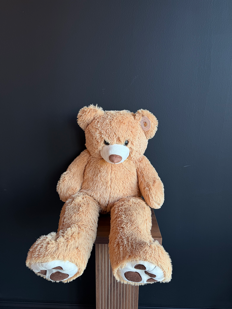 Thumbnail: Teddy bear 🧸 