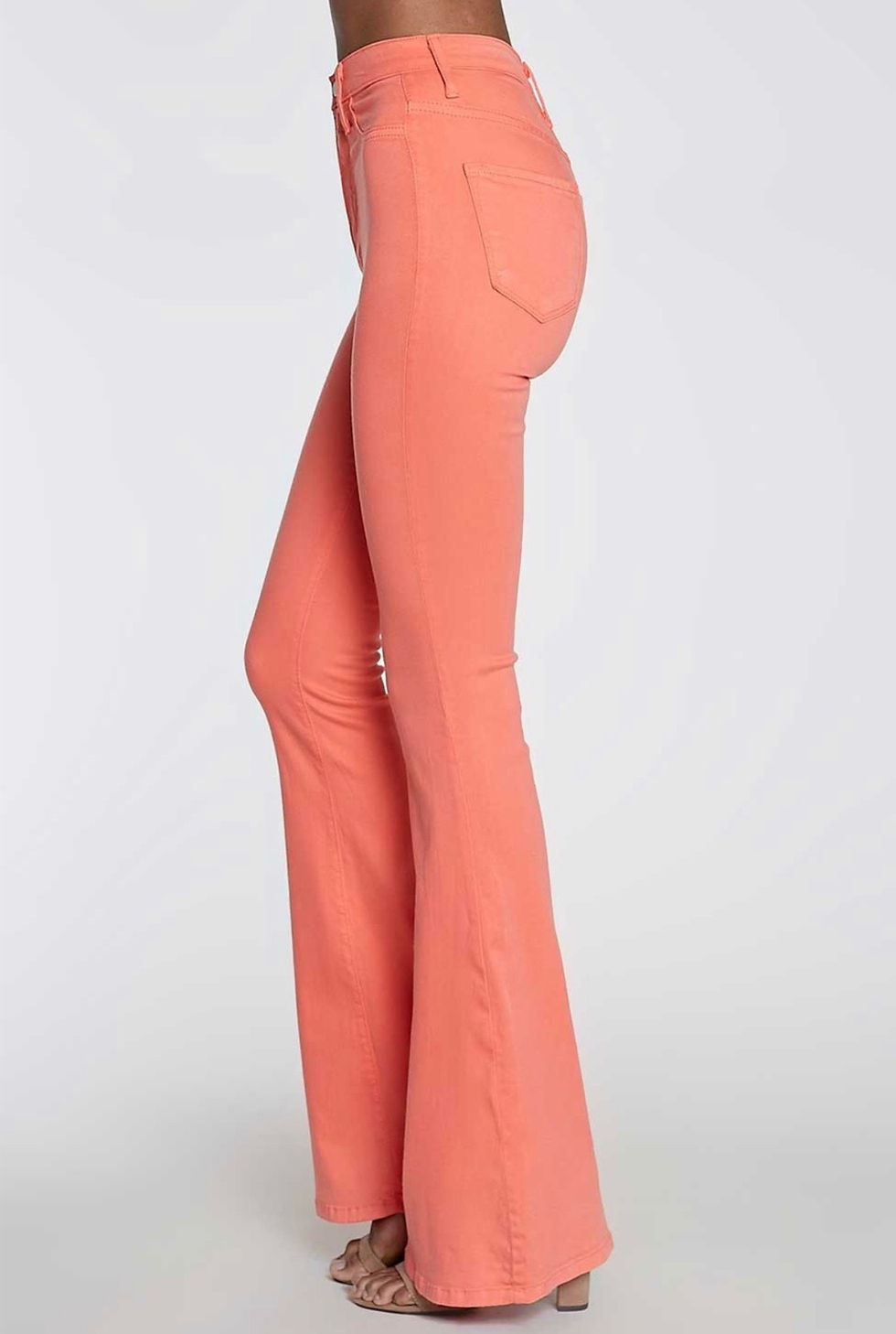 Thumbnail: Coral Bells 