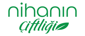 LogoVideo.png