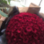 Red Rose