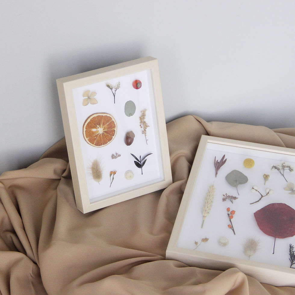 Thumbnail: Dried Flower & Fruit Specimen Wooden Frame (S)