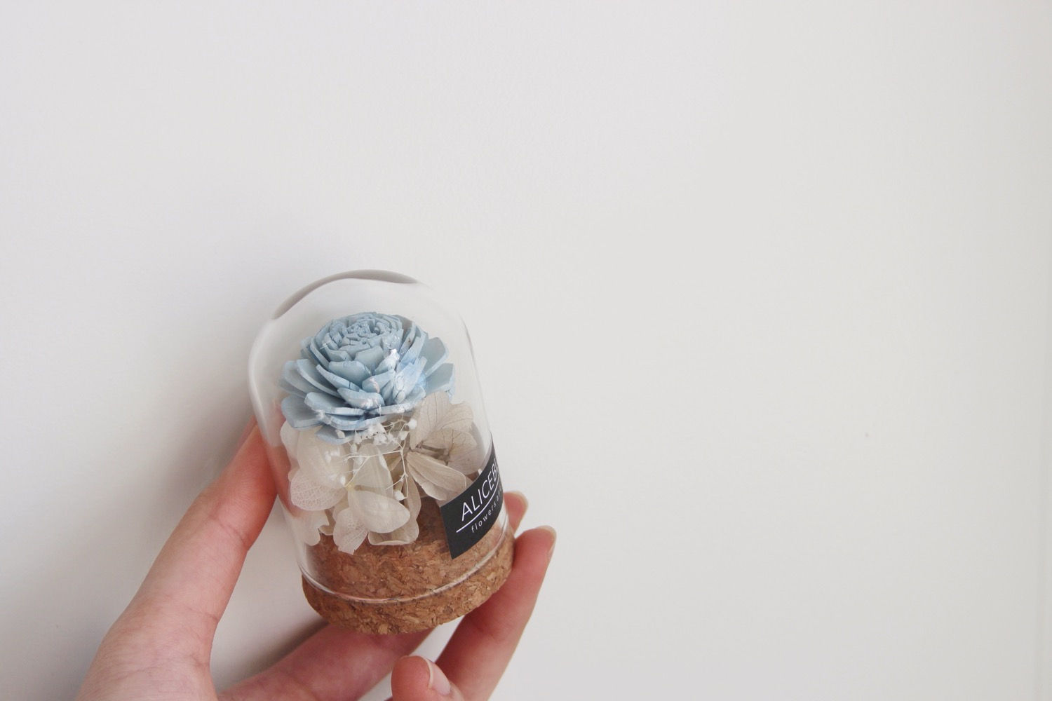 Nano Sola Flower in Glass Dome (Pink & Blue)