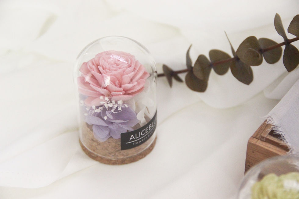 Thumbnail: Nano Sola Flower in Glass Dome (The Candy Collection)