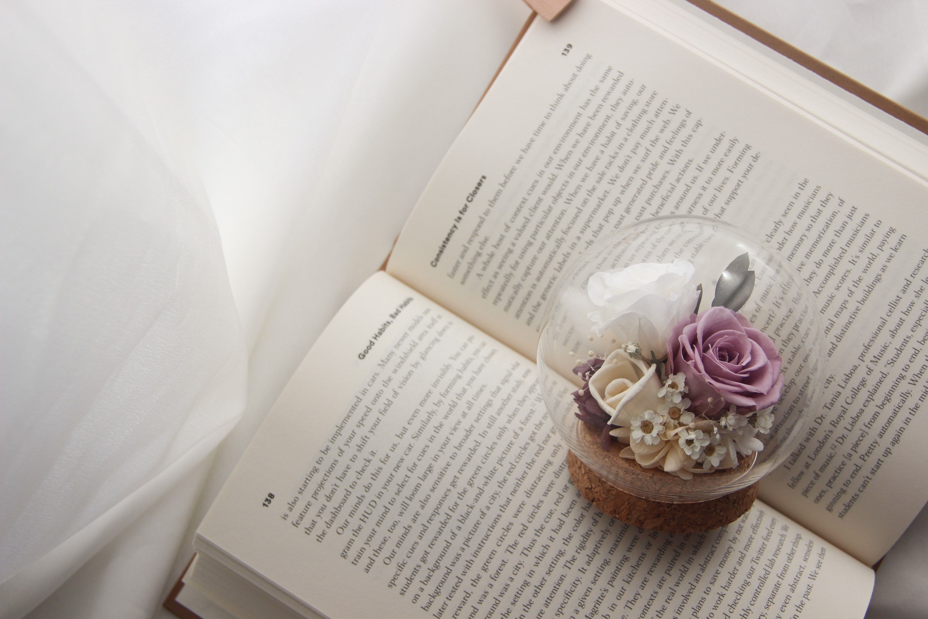 Petite Preserved Flower in Sphere - Irish Orchid