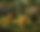 fd3cd41c-a83f-4829-b015-69405660a860.png