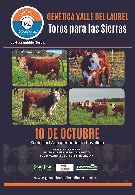 Afiche GVL REVISTAS - PARA TODOS copia.jpg