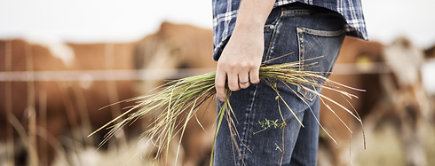 Farmer_edited.png