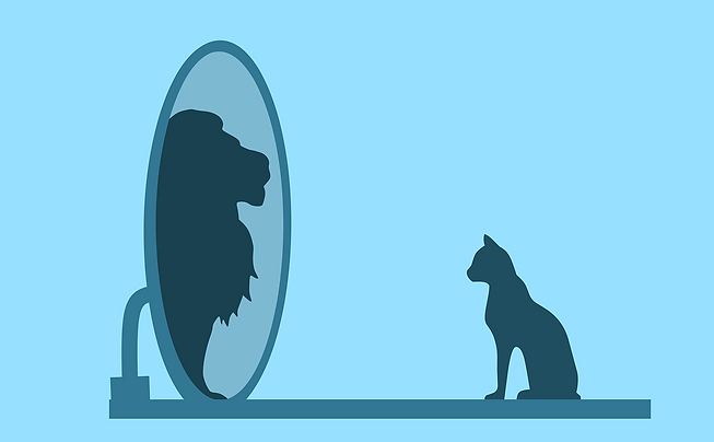 cat-gcd2fe97d2_1280.png