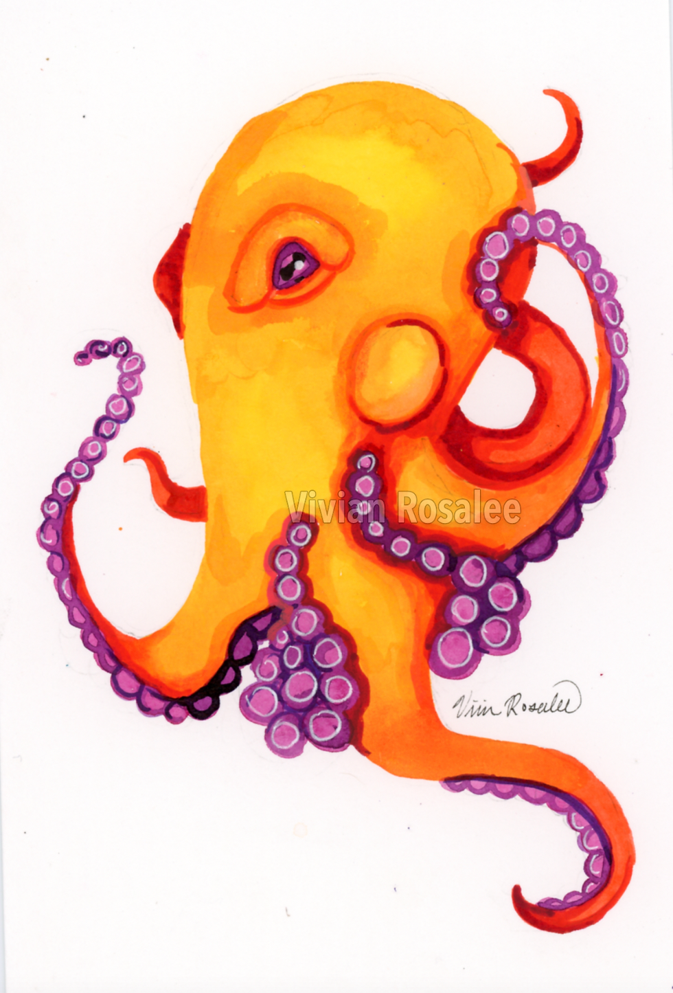 Thumbnail: Octopus- Various Original Ink Paintings