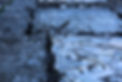 5E3A9285.JPG
