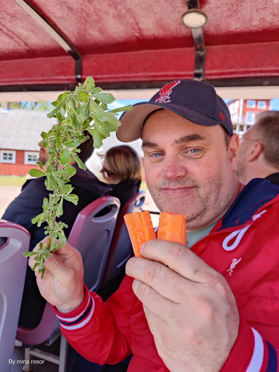morötter och en grön kvist