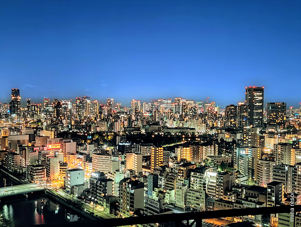 osaka by night