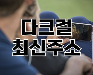 다크걸 최신주소