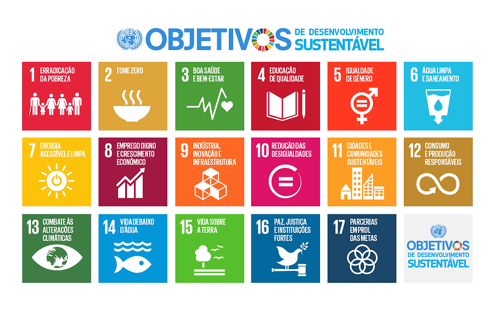 17 Objetivo de Desenvolvimento Sustentável. Fonte: GT Agenda 2030