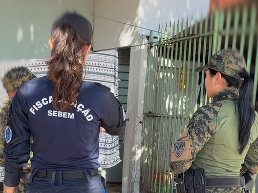 Prefeitura de Palmas acompanha seis denúncias de zoofilia e reforça combate aos maus-tratos