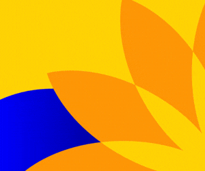 300x250.gif