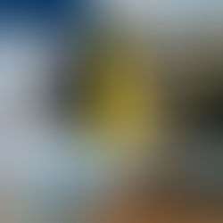 Palmas-TO Usa Medida Extrema para Pagar R$ 2,5 Mi à Empresa de Transporte em 40 Parcelas | Vale Transporte Sem Licitação