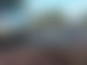 Acidente em Palmas, Tocantins: Duas Mulheres Envolvidas em Colisão na Teotônio Segurado