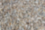 3/4" Berkshire