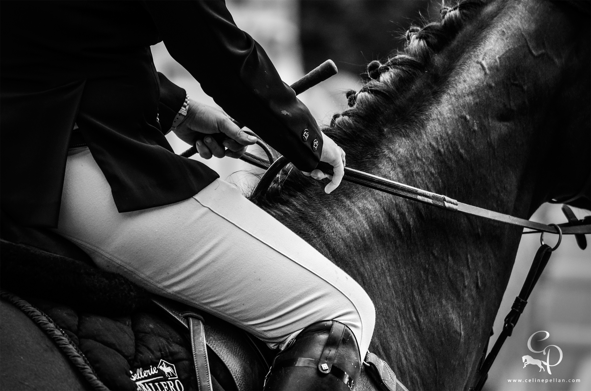 Équitation