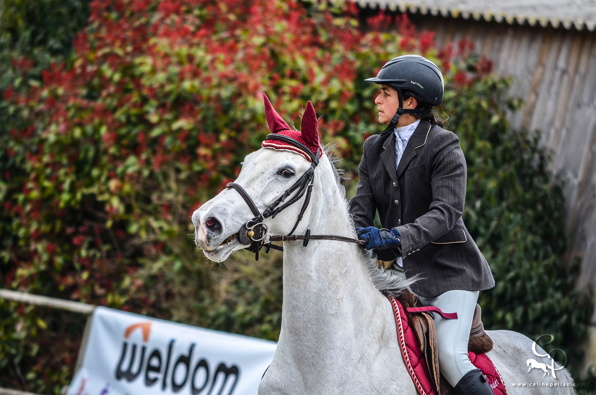 Équitation